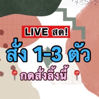 🌷สินค้าแฟชั่น2020🌷  เฉพาะ live สด! (สั่ง 1-3ตัว)