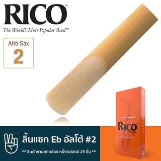 Rico™ RJA2520 ลิ้นแซกโซโฟน อัลโต้ เบอร์ 2 จำนวน 25 ชิ้น ( ลิ้นอัลโต้แซก เบอร์ 2 , Eb Alto Sax Reed #3) ** สินค้าขายยกกล่