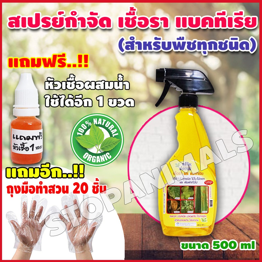 ซื้อ 1แถม1 ปุ๋ยน้ำ ปุ๋ยชีวภาพ สีเหลือง กำจัดเชื้อรา แบคทีเรีย ป้องกัน โรคพืช ปุ๋ยน้ำชีวภาพ พิเศษแถม ถุงมือทำสวน 20ชิ้น