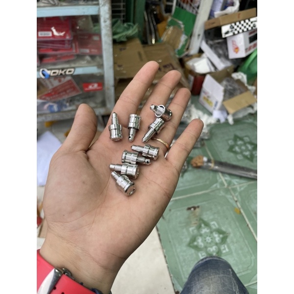 สลายา สแตนเลส 304 สกรูลมครบชุด