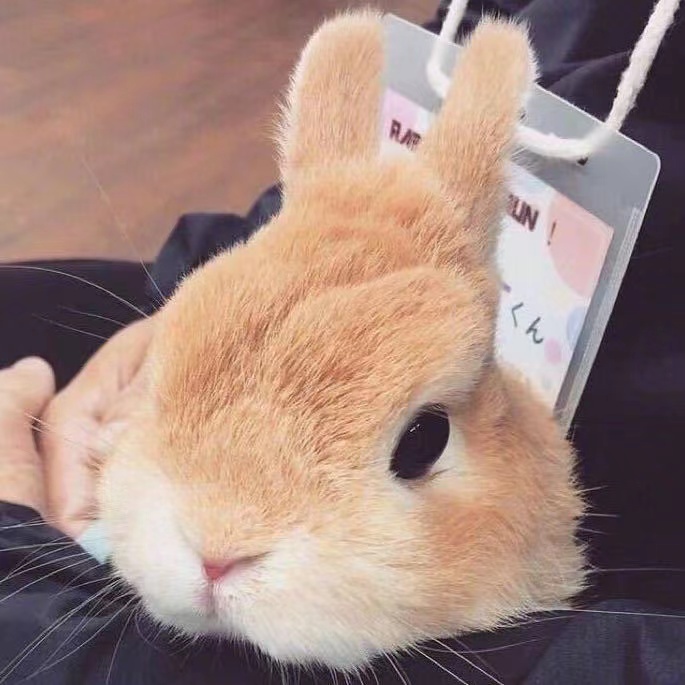 Jsm TH สั่งซื้อ /***