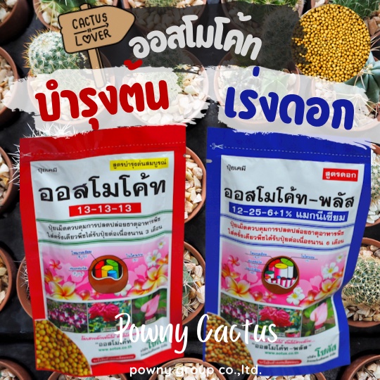 ปุ๋ยออสโมโค้ท สูตรบำรุงต้น สูตรเร่งดอก แบ่งขายและแบบห่อ ราคาถูก พร้อมส่งจ้า ปุ๋ยละลายช้า ปุ๋ยแคคตัส