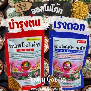 ปุ๋ยออสโมโค้ท สูตรบำรุงต้น สูตรเร่งดอก แบ่งขายและแบบห่อ ราคาถูก พร้อมส่งจ้า ปุ๋ยละลายช้า ปุ๋ยแคคตัส