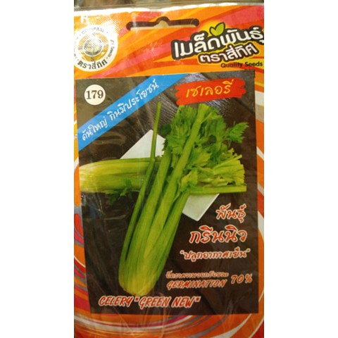 เมล็ดเซเลอรี่ พันธุ์กรีนนิว 10 แถม 1 เมล็ดผัก เมล็ดพันธุ์ ตรา สี่ทิศ 4ทิศ Celery ขึ้นฉ่ายฝรั่ง คื่นฉ่ายฝรั่ง คึ่นฉ่าย