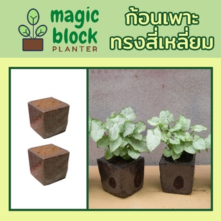 Magicblock ก้อนเพาะปลูกมหัศจรรย์ทรงเหลี่ยม ขนาด 8*8 cm (ปลูกต้นไม้แนวตั้ง/สวนแขวนผนัง/ชุดสวดแนวตั้ง/ตะแกรงพร้อมปลูก)