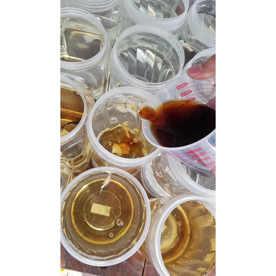 รูปภาพ 6