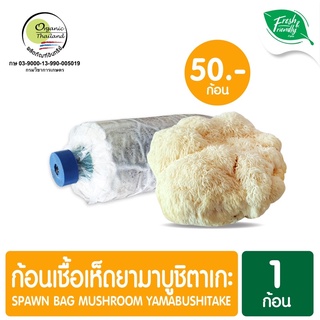 ก้อนเชื้อเห็ดยามาบูชิตาเกะ50บาท(Yamabushitake)ออแกนิก