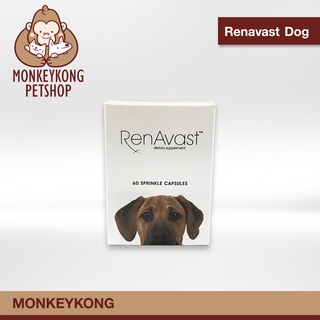 Renavast Dog อาหารเสริมบำรุงไต กรดอะมิโนจำเป็นสำหรับสุนัข เสริมสร้างร่างกาย