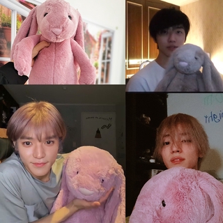 ของเล่นเด็กตุ๊กตากระต่ายกระต่ายแบบยาว Jellycat Bunny