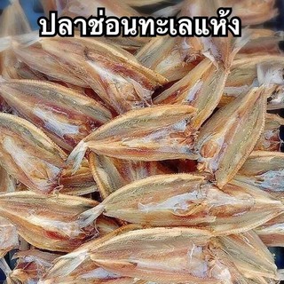 ปลาช่อนทะเลแห้ง ปลาช่อน