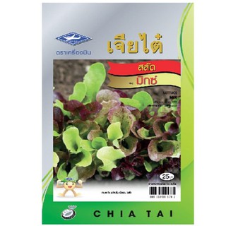 เมล็ดพันธุ์สลัดมิกซ์ ตราเครื่องบิน SEED LETTUCE MIX