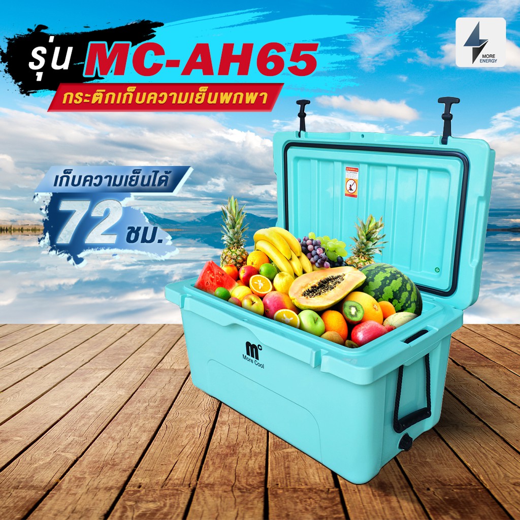 [พร้อมส่ง] กล่องเก็บความเย็น(Hard cooler box) รุ่นAH65 เก็บความเย็นได้3