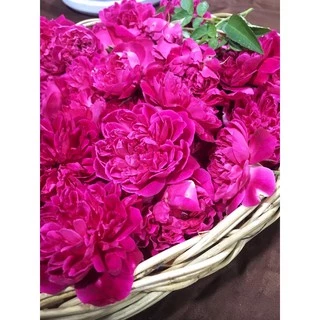 กลีบกุหลาบอบแห้ง 50 กรัม ชากุหลาบ กุหลาบออแกนิก 🌹ทำขนม🌹ชงชา🌹ใส่หน้าเค้ก🌹พร้อมส่ง!! 玫瑰茶 Dried rose petals edible flower
