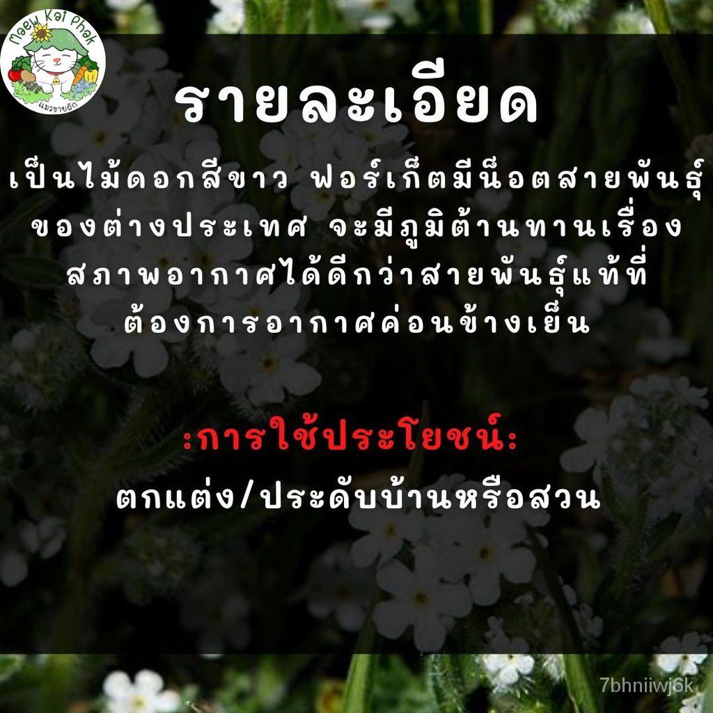 My Image 22