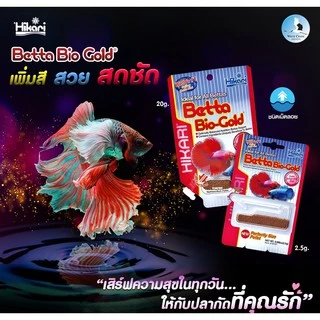 Hikari Betta Bio-Gold อาหารปลากัด โปรตีนสูง สูตรเร่งสี เร่งโต