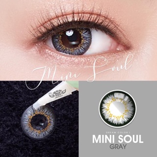 Mini soul gray พร้อมส่งค่าสายตา (dreamcolor1)