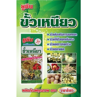 ขั้วเหนียว (สารขั้วเหนียว+NAA+Amino) ขนาด 500cc