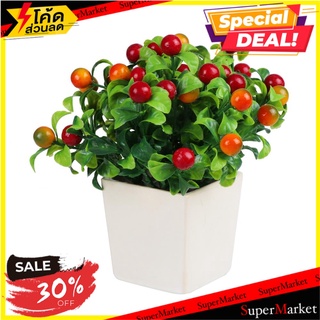 กระถางเบอร์รี่ ฟ้าและดอกไม้ สีส้ม/แดง ต้นไม้ประดิษฐ์ ARTIFICIAL BERRIES IN POT SKY AND FLOWER ORANGE/RED อุปกรณ์ตกแต่งสว