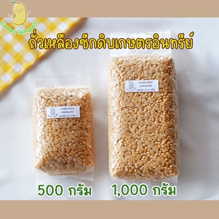 ถั่วเหลืองซีกดิบเกษตรอินทรีย์ (ถั่วเหลือง organic) ใช้ทำเทมเป้(Tempeh)อร่อย