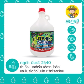 กลูต้า+บีเคซี 2540 ฆ่าเชื้อแบคทีเรีย ต้นเหตุของโรคเหงือกดำ ตัวแดง จุดขาว ขี้ขาว หางเปื่อย จุดดำ สบายดีซัพพลายแอนด์โค