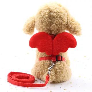 MILLY HOUSE♥ นางฟ้าปีกจูง เชือกลากจูง pet Angel wings leash