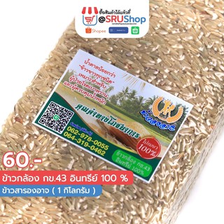 ข้าวกล้อง กข.43 อินทรีย์ 100 % (ข้าวสารองอาจ) ข้าวสารเพื่อสุขภาพ 1 กก. - SRUShop / SRU Shop