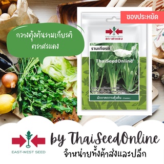 VP3 ซฟ เมล็ดพันธุ์ ผักกาดกวางตุ้งต้น รามเกียรติ์ 2700เมล็ด ตราศรแดง Non-Flowering Pakchoy