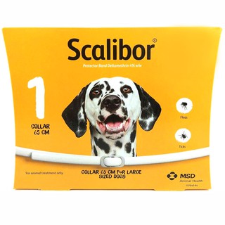 Scalibor collar for dog 65cm ปลอกคอ สุนัข ยาว 65 ซม. จำนวน 100 เส้น scalibor exp 2023 Lot 100