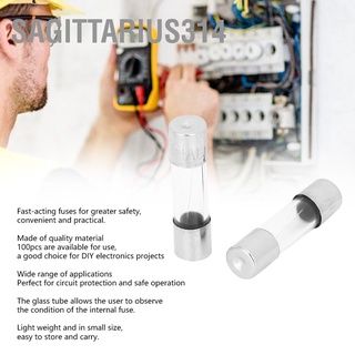 Sagittarius314 ฟิวส์แก้ว วงจรเป่าลมเร็ว 5X20 มม. Ac 250V 100 ชิ้น