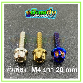 น็อตสแตนเลส หัวเฟือง ขนาดเกลียว m4 ยาว 20 mm.