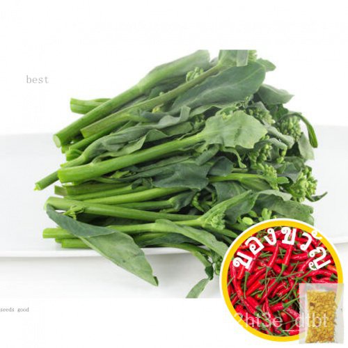 My Image 30