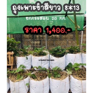 #ถุงเพาะชำสีขาว 8*13 ยกกระสอบ20 กก. ประมาณ 600 ใบคะ🌱🌱🍃