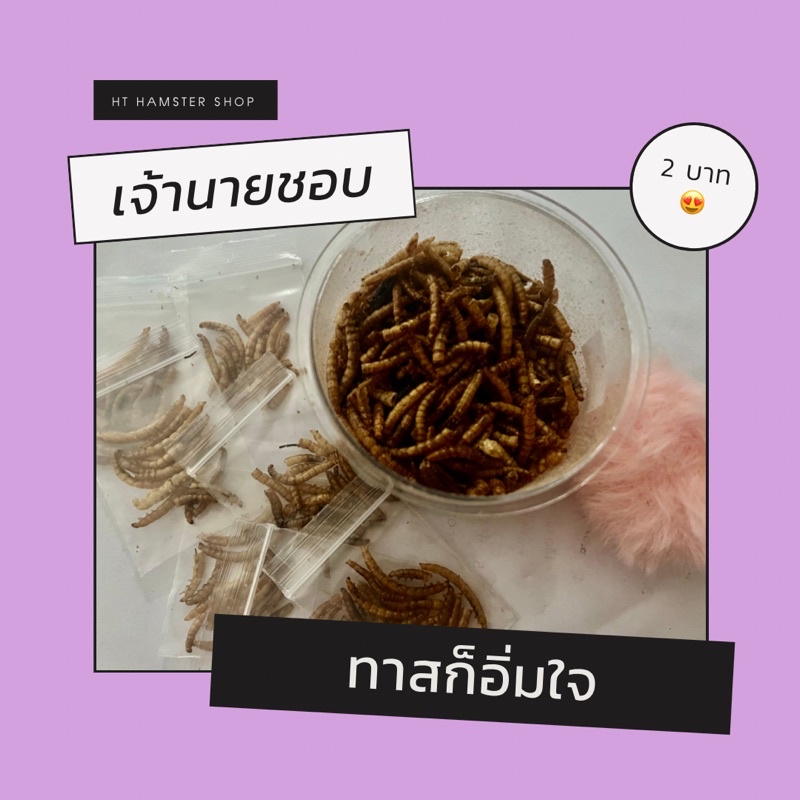 หนอนอบแห้งทดลอง *สั่งขั้นต่ำ 5 ถุงขึ้นไปนะคะ
