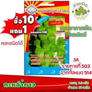 (ซื้อ10แถม1) เมล็ดพันธุ์ กะหล่ำดาว Brussels Sprouts ประมาณ 50เมล็ด 3A สามเอ ผักสวนครัว เมล็ดพันธุ์พืช เมล็ดผัก เม็ดผัก