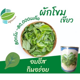 ผักโขมเขียว ปลูกง่าย ปลูกได้ทุกฤดู (Green Amaranth)​