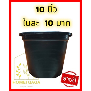 B10💯กระถางต้นไม้ กระถางพลาสติกสีดำ 10นิ้ว หรือ *บางที่ใช้เรียกกันว่า 11นิ้ว* 👉ราคาใบละ 10 บาท 📍ถูกมาก‼️