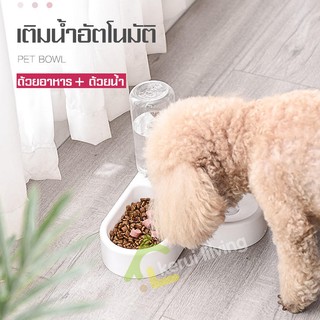 ชามแมว ชามอาหารแมว ที่ให้น้ำอัตโนมัติ ทรงหัวใจ ชามอาหารสุนัข ชามหมา pet food bowl ชามอาหารสัตว์เลี้ยง 2in1