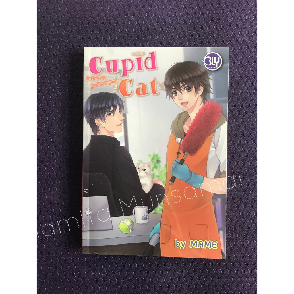 Cupid cat ลุ้นรักป่วยใจเจ้านายสุดหล่อ - MAME (นิยายวายไทย)