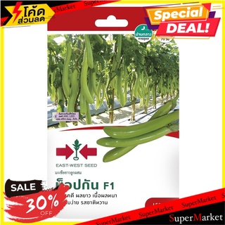 เมล็ดพันธุ์มะเขือยาวสีเขียว F1 ท็อปกัน เมล็ดพันธุ์ GREEN EGGPLANT SEED EAST-WEST SEED TOPGUN F1 ต้นไม้และเมล็ดพันธุ์