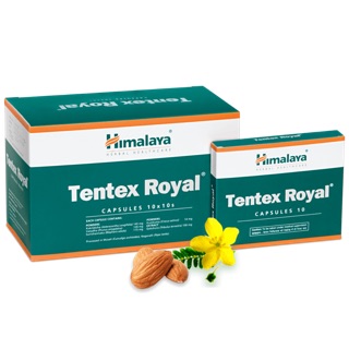 Himalaya tentex royal อาหารเสริมช่วยบำรุงบุรุษ