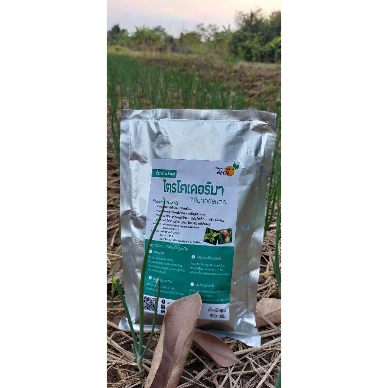 ไตรโคเดอร์มา เชื้อผงพร้อมส่ง ป้องกัน โรครากเน่า โคนเน่า กล้ายุบ ใบจุด ใบด่างต่างๆในแปลงพืชผัก นาข้าวสวนผลไม้ต่างๆ