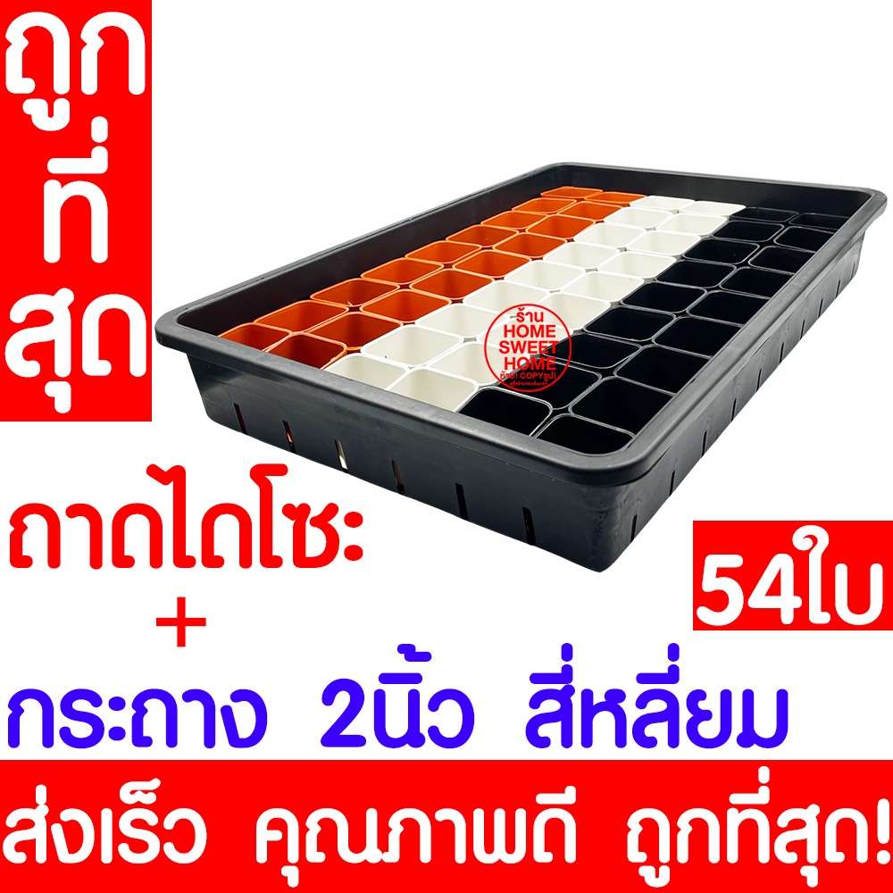 *ส่งไว* ถาดเพาะต้นอ่อน ถาดไดโซะ พร้อมกระถาง 2นิ้ว แปดเหลี่ยม 54ใบ ถาดเพาะต้นกล้า เมล็ด ผักสลัด สวนครัว ปลูกผัก แคคตัส