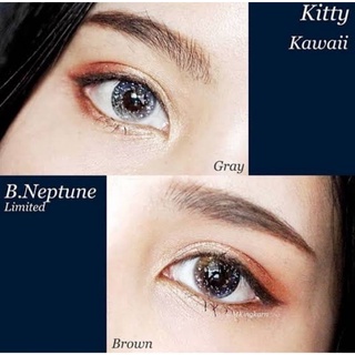 คอนแทคเลนส์ รุ่น Limited Neptune สีเทา/ตาล Gray/Brown มีค่าสายตาปกติ (0.00)