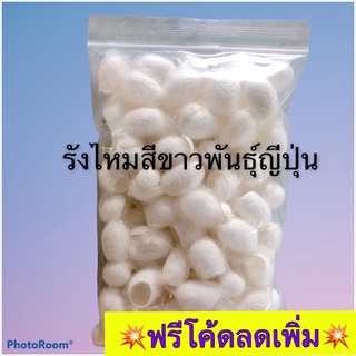 รังไหมสีขาวญี่ปุ่น รังไหมสีขาวไซส์ใหญ่ ไม่ลอกไย รังไหมคุณภาพดี