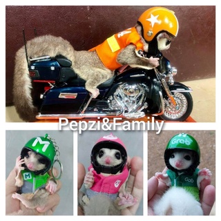 [[[ Pepzi&amp;Family ]]] เช็ตเสื้อพร้อมสายจูง+หมวกกันน๊อค ชูก้า ชูก้าร์ ชูการ์ไกรเดอร์ ชูการ์ไกลเดอร์ กระรอก แฮมเตอร์