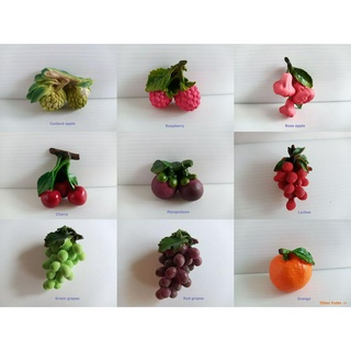 สีสันสดใสและสนุกสนาน โมเดลผลไม้ ติดตู้เย็น และทุกพื้นผิวโลหะ Vibrant and Fun, Fruit Models Decor for Your Refrigerator