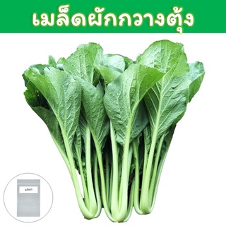 เมล็ดพันธุ์ผักกวางตุ้ง  เมล็ด (Choy Sum Seeds) / ผักกาดกวางตุ้ง / กวางตุ้งต้น50 เมล็ด (ไม่ใช่พืชที่มีชีวิต)