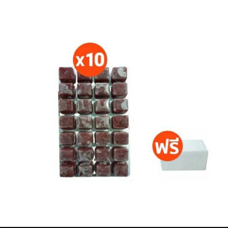 หนอนแดงแช่แข็งFuji 10 แพ็ค(1กล่อง)⚠️โปรดระวังสินค้าลอกเลียนแบบ⚠️ เกรดA อาหารปลาและกุ้งแถมฟรี!!กล่องโฟมเก็บความเย็น thumbnail 10