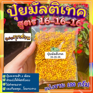 ปุ๋ยมัลติเทค 🍃100 กรัม Multiteck  ปุ๋ยละลายช้า 4 เดือน สูตร 16-16-16 บำรุงต้น เร่งโต เร่งใบ เร่งดอก เเบบเเบ่งขาย