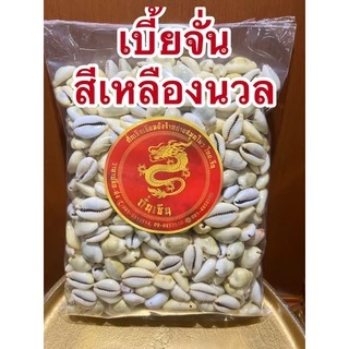 หอยเบี้ย เบี้ยจั่น เบี้ยจั่นหอยเบี้ยคละไซส์ขายยกถุงราคาไม่แพงมีทั้งสีธรรมดาและสีเหลืองนวลเงา